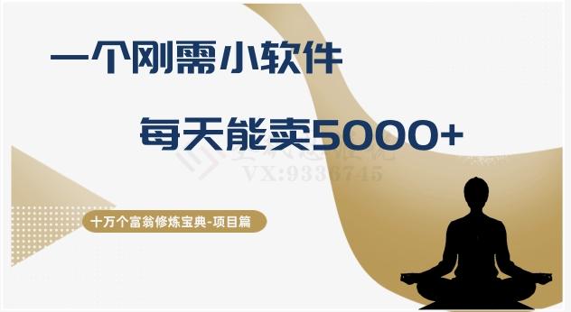 十万个富翁修炼宝典之17.一个刚需小软件，每天能卖5000+-鑫梵淘