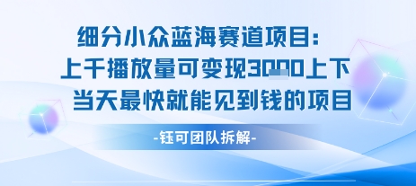 小众蓝海赛道项目：当天变现1k+适合新手操作 +适合长期玩-鑫梵淘