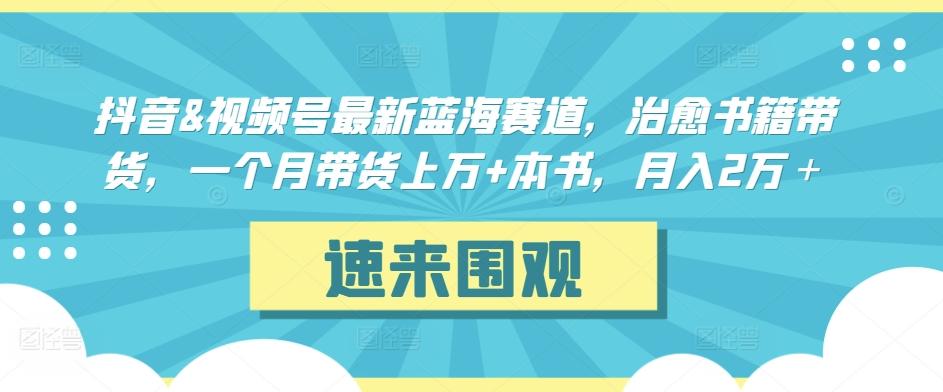 抖音&视频号最新蓝海赛道，治愈书籍带货，一个月带货上万+本书，月入2万＋【揭秘】-鑫梵淘