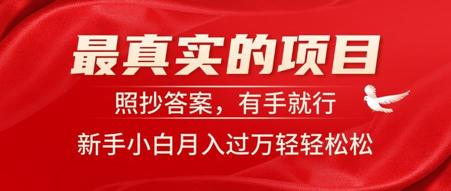 最真实的项目，照抄答案，有手就行，新手小白月入过万轻轻松松-鑫梵淘