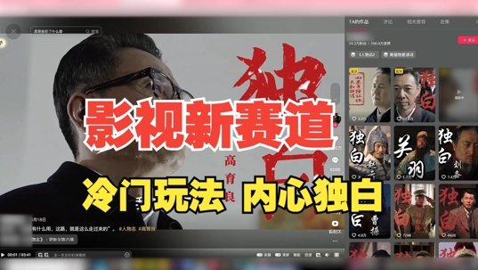 最新影视解说玩法，人物独白，30天涨粉24万+，全流程拆解【揭秘】-鑫梵淘