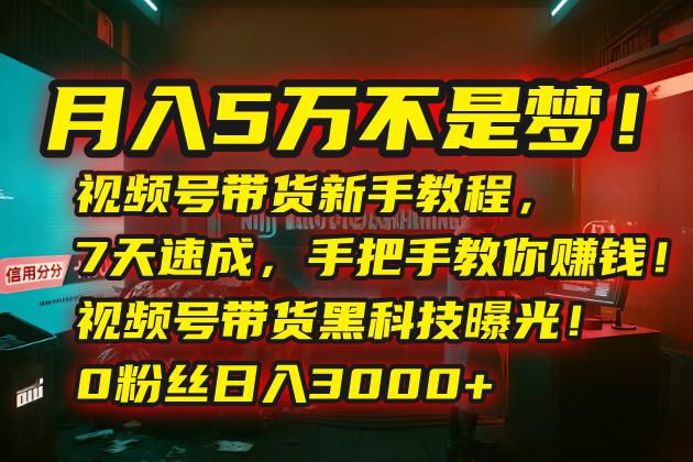 月入5万不是梦！视频号带货新手教程，7天速成，手把手教你赚钱！视频号…-鑫梵淘