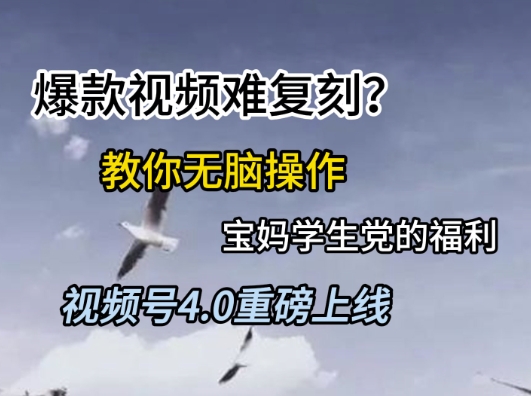 视频号4.0重磅上线，爆款视频难复刻？教你无脑操作宝妈学生党的福利【揭秘】-鑫梵淘