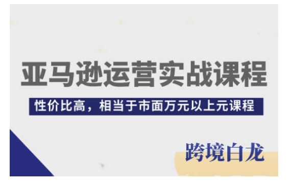 亚马逊运营实战课程，亚马逊从入门到精通，性价比高，相当于市面万元以上元课程-鑫梵淘