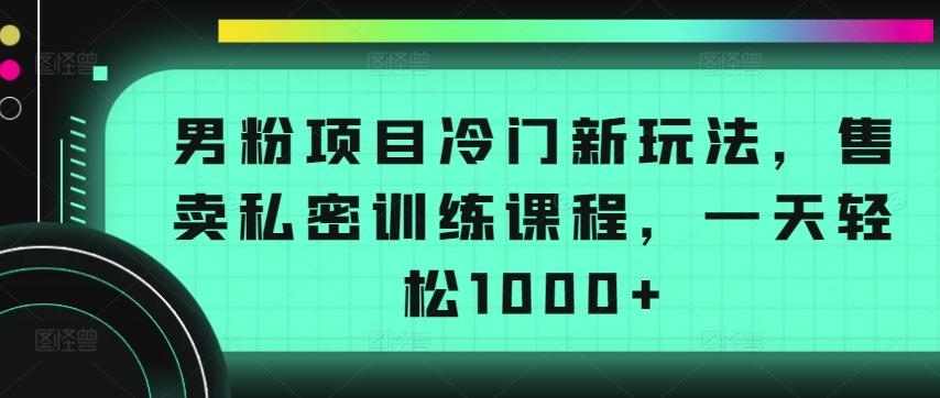 男粉项目冷门新玩法，售卖私密训练课程，一天轻松1000+【揭秘】-鑫梵淘