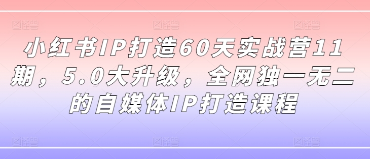 小红书IP打造60天实战营11期，5.0大升级，全网独一无二的自媒体IP打造课程-鑫梵淘