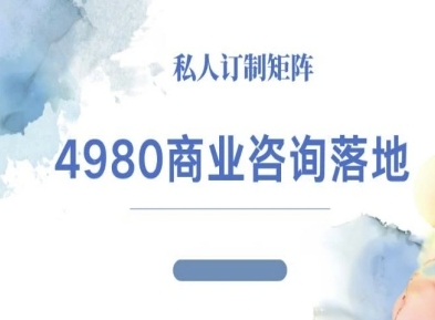 4980商业咨询师落地课程-ip运营高客单教程-鑫梵淘