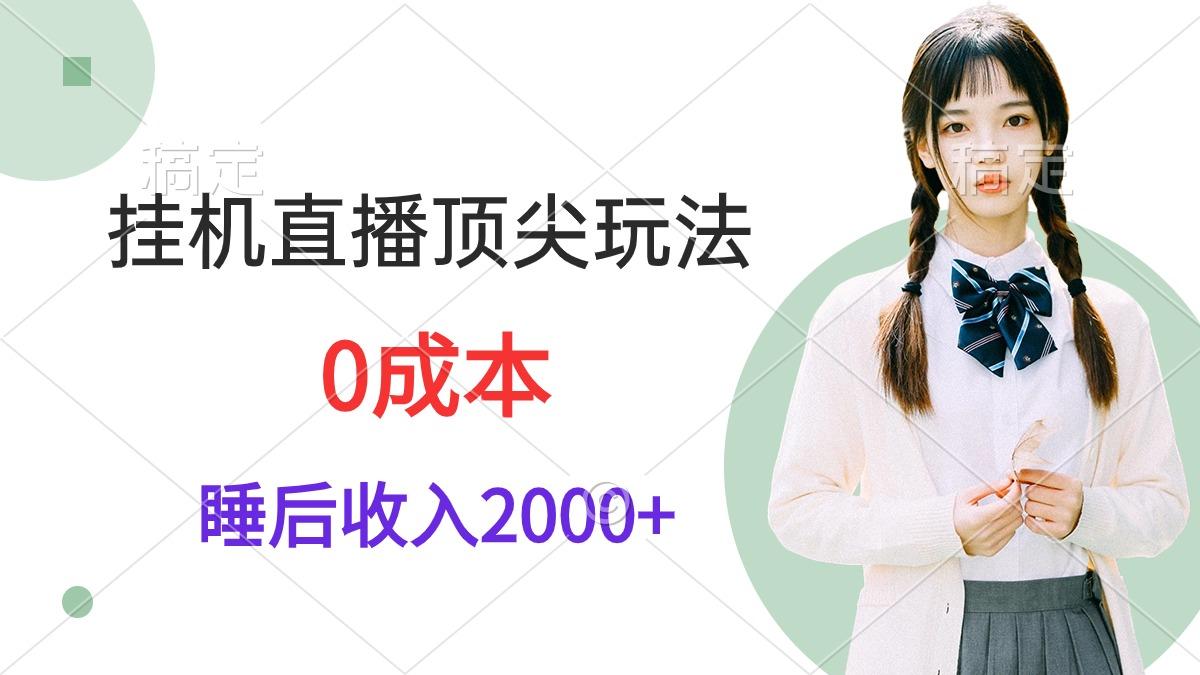 (9715期)挂机直播顶尖玩法，睡后日收入2000+、0成本，视频教学-鑫梵淘