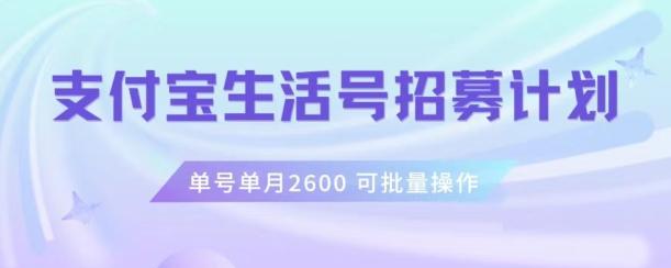 支付宝生活号作者招募计划，单号单月2600，可批量去做，工作室一人一个月轻松1w+【揭秘】-鑫梵淘