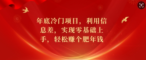 年底冷门项目，利用信息差，实现零基础上手，轻松赚个肥年钱【揭秘】-鑫梵淘