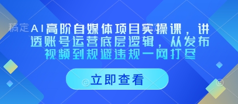 AI高阶自媒体项目实操课，讲透账号运营底层逻辑，从发布视频到规避违规一网打尽-鑫梵淘