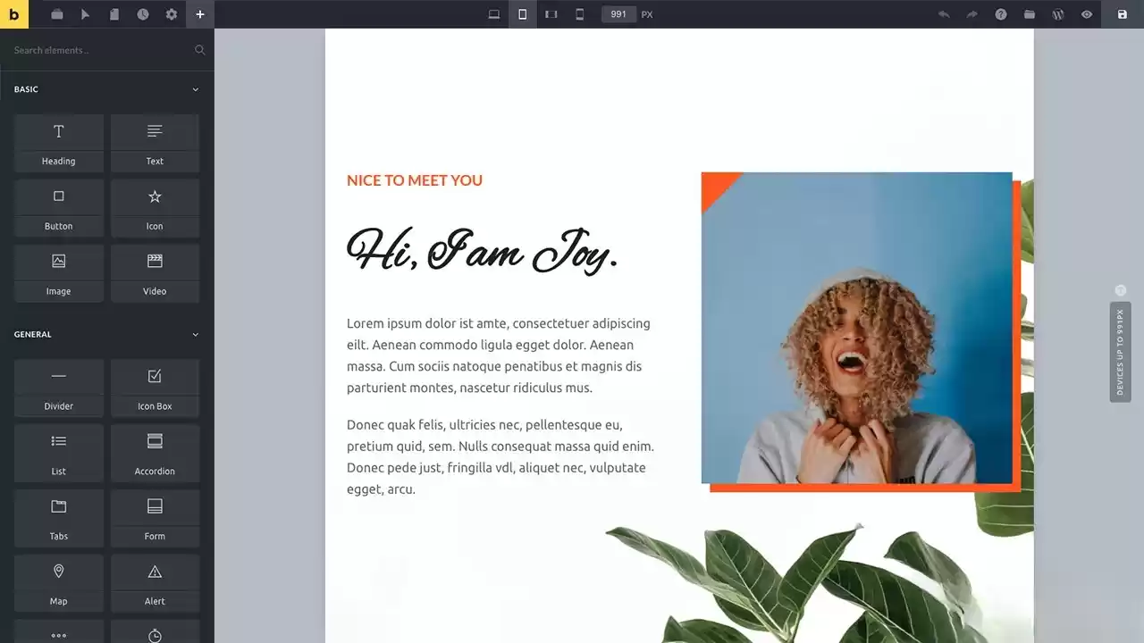 WordPress主题Bricks v1.9 破解版-鑫梵淘