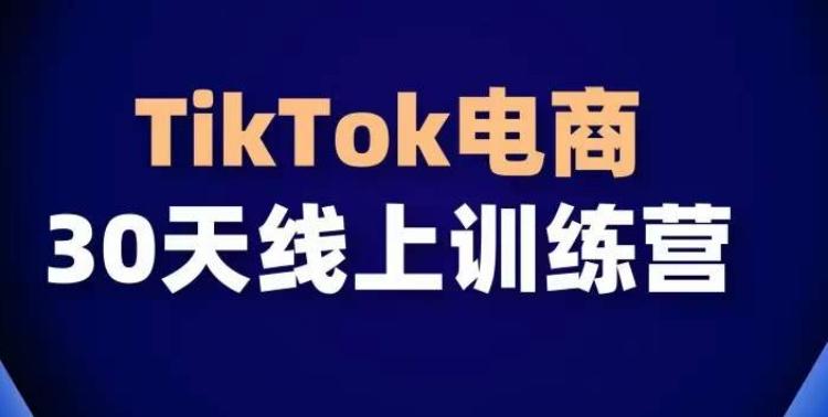 TikTok电商带货30天线上课，不可错过的全球流量洼地！-鑫梵淘