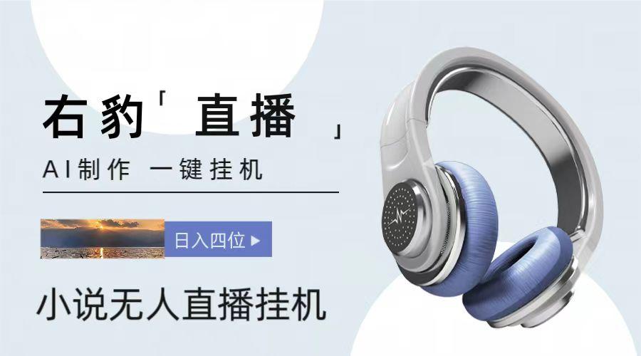 右豹小说无人直播挂机吸金项目，简单易行收益稳定， 月入1000+-鑫梵淘