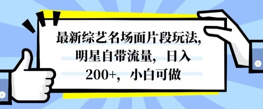 最新综艺名场面片段玩法，明星自带流量，日入200+，小白可做【揭秘】-鑫梵淘