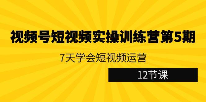 视频号短视频实操训练营第5期：7天学会短视频运营(12节课)-鑫梵淘