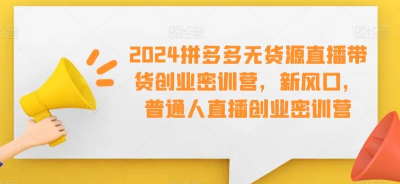 2024拼多多无货源直播带货创业密训营，新风口，普通人直播创业密训营-鑫梵淘
