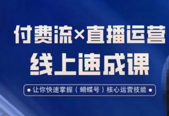 视频号付费流实操课程，付费流✖️直播运营速成课，让你快速掌握视频号核心运营技能-鑫梵淘