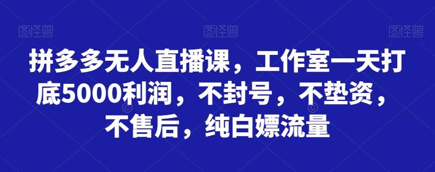 拼多多无人直播课，工作室一天打底5000利润，不封号，不垫资，不售后，纯白嫖流量-鑫梵淘