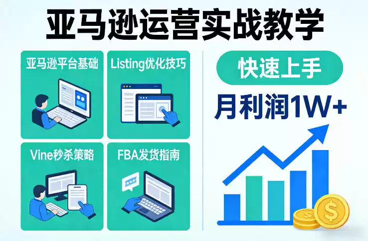 亚马逊运营实战教学，亚马逊平台+Listing优化+Vine秒杀+FBA发货等，快速上手，实现店铺月利润1W-鑫梵淘