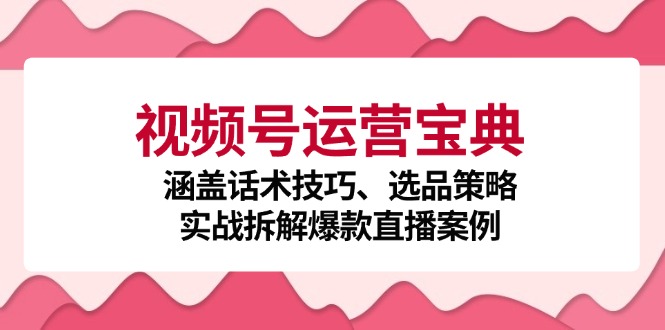 视频号运营宝典：涵盖话术技巧、选品策略、实战拆解爆款直播案例-鑫梵淘