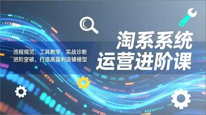 淘系系统运营进阶课2.0，流程规范、工具教学、实战诊断，进阶突破，打造高盈利店铺模型-鑫梵淘
