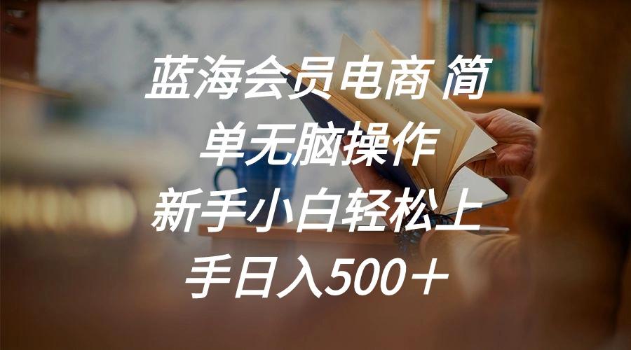 蓝海会员电商 简单无脑操作 新手小白轻松上手日入500＋-鑫梵淘