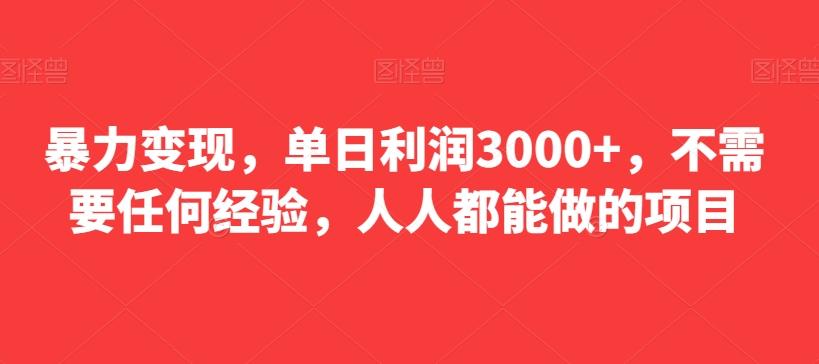 暴力变现，单日利润3000+，不需要任何经验，人人都能做的项目-鑫梵淘
