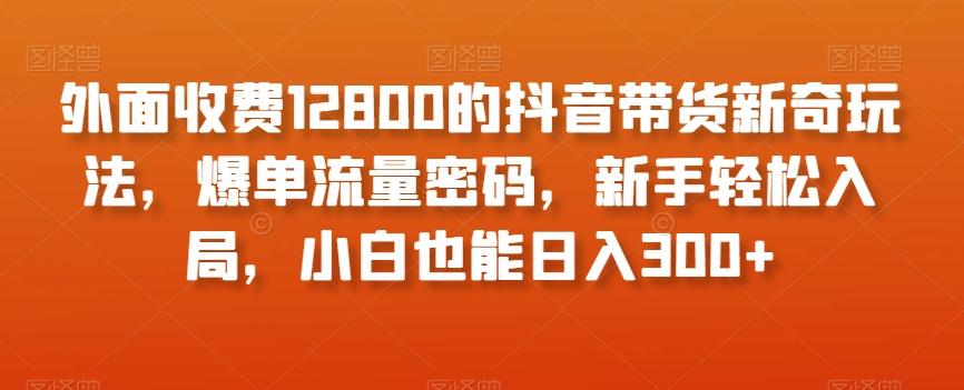外面收费12800的抖音带货新奇玩法，爆单流量密码，新手轻松入局，小白也能日入300+【揭秘】-鑫梵淘