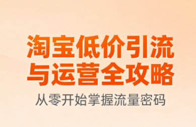 淘宝低价引流与运营全攻略(更新9月)-鑫梵淘