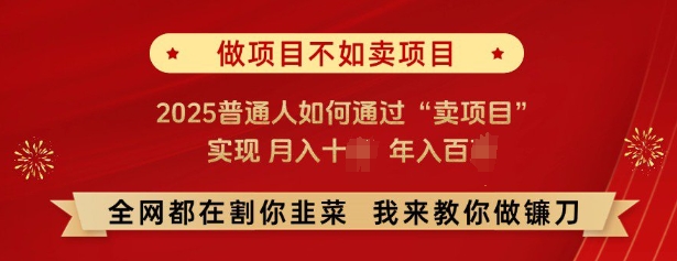 必看，做项目不如卖项目，2025普通人如何通过“卖项目”实现月入十个，年入百个-鑫梵淘