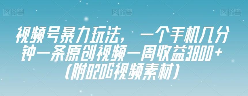 视频号暴力玩法，一个手机几分钟一条原创视频一周收益3800+（附820G视频素材）-鑫梵淘