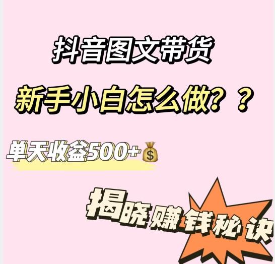 抖音图文带货，新手小白怎么做？单天收益500+【揭秘赚钱秘诀】-鑫梵淘