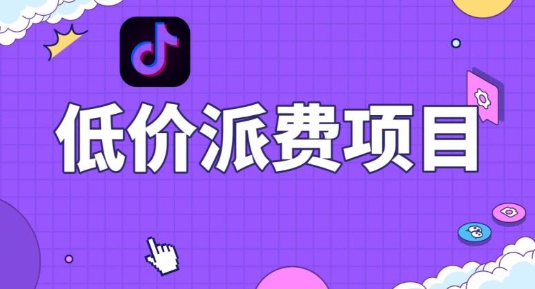 抖音低价派单项目，0门槛，日入1000+很轻松，小白可操作【揭秘】-鑫梵淘