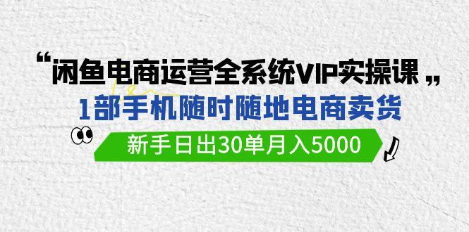 (9547期)闲鱼电商运营全系统VIP实战课，1部手机随时随地卖货，新手日出30单月入5000-鑫梵淘