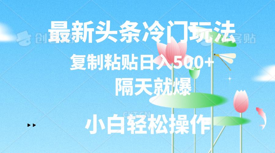 最新头条冷门玩法，隔天就爆，复制粘贴日入500+-鑫梵淘