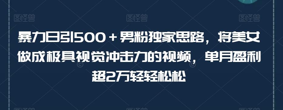 暴力日引500＋男粉独家思路，将美女做成极具视觉冲击力的视频，单月盈利超2万轻轻松松-鑫梵淘