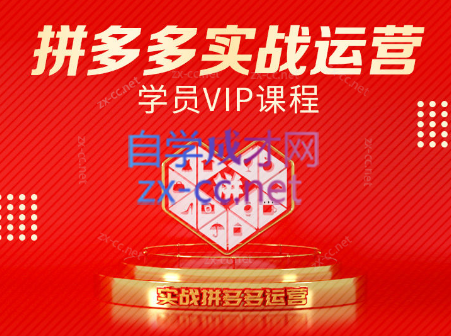 推易电商·拼多多实战运营课(更新2025月)-鑫梵淘