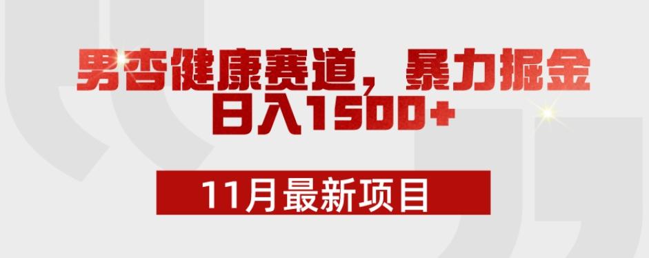 11月最新项目，男杏健康赛道，暴力掘金，日入1500+-鑫梵淘