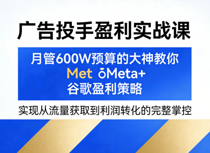 广告投手盈利实战课，月管600W预算的大神教你Meta+谷歌盈利策略，实现从流量获取到利润转化的完整掌控-鑫梵淘