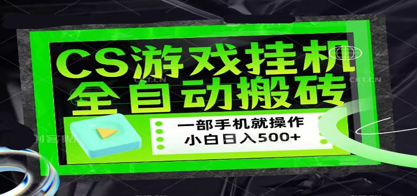 CSGO游戏挂机捡漏搬砖，超稳定的项目，带领1000+小白实现日入500+-鑫梵淘