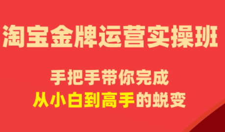 飓风电商·淘宝金牌运营实操班-鑫梵淘