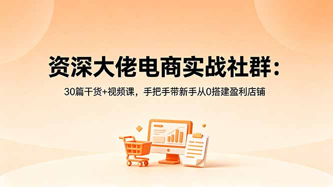 资深大佬电商实战社群：30篇干货+视频课，手把手带新手从0搭建盈利店铺-鑫梵淘