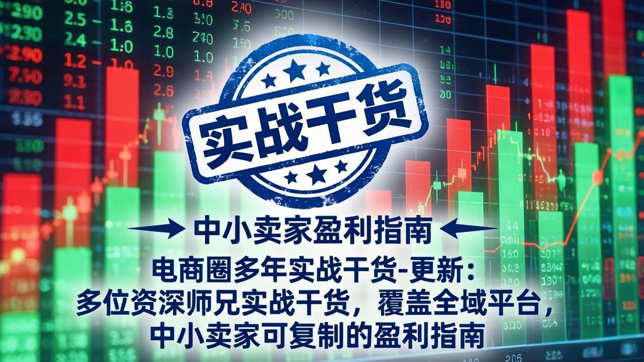 电商圈多年实战干货-更新5月20：多位资深师兄实战干货/覆盖全域平台，中小卖家可复制的盈利指南-鑫梵淘