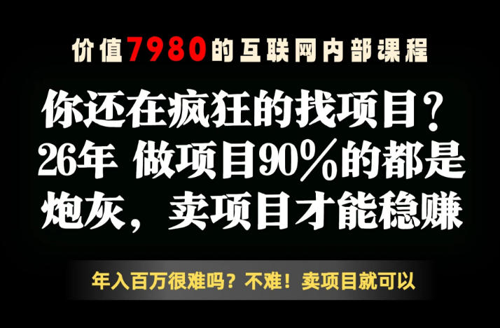 26年请不要疯狂的找项目了，卖项目远比你想象的暴利，你也可以月入10W+【揭秘】-鑫梵淘