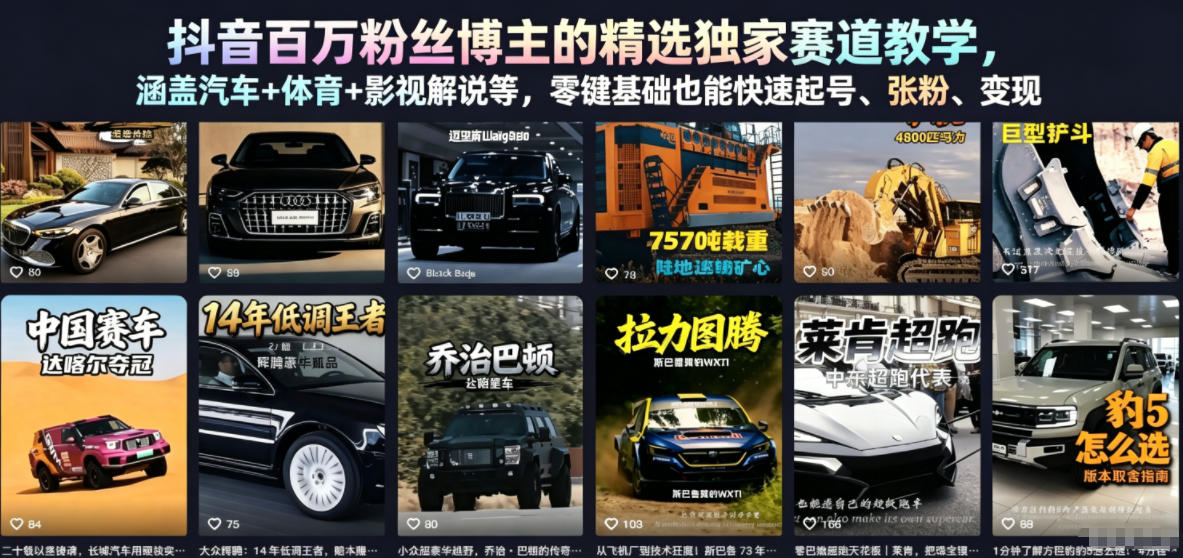 抖音百万粉丝博主的精选独家赛道教学，涵盖汽车+体育+影视解说等，零基础也能快速起号、涨粉、变现-鑫梵淘