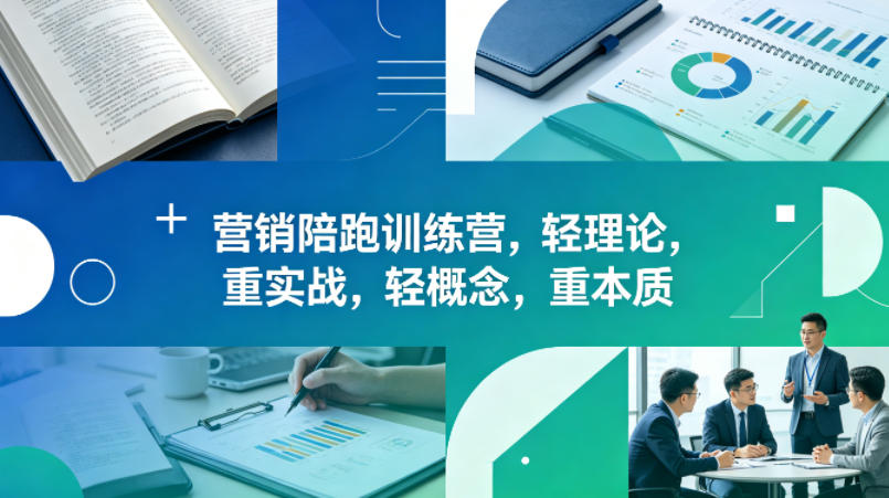 老A营销陪跑训练营，轻理论，重实战，轻概念，重本质(更新2026年6月)-鑫梵淘