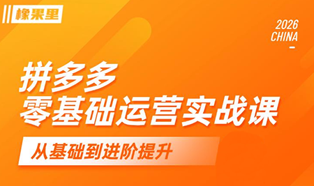 仙道电商·拼多多零基础运营实战课-鑫梵淘