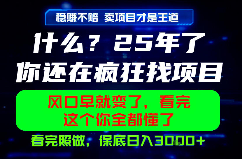 26年，请不要疯狂的找项目做了！卖项目才是真的稳賺不赔，看完照做，保底日入1k+【揭秘】-鑫梵淘
