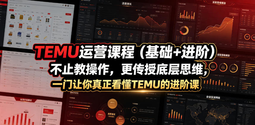 TEMU运营课程(基础+进阶)，不止教操作，更传授底层思维，一门让你真正看懂TEMU的进阶课-鑫梵淘